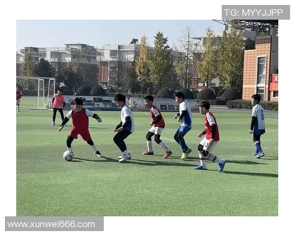 焦作足球小球星逐梦绿茵场展现少年风采点亮未来希望 焦作足球小球星逐梦绿茵场展现少年风采点亮未来希望