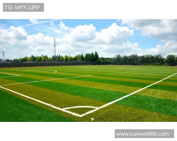 足球场如何通过设施与规则保障球星安全与健康