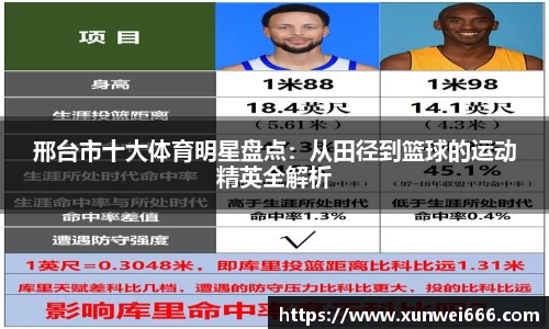邢台市十大体育明星盘点：从田径到篮球的运动精英全解析